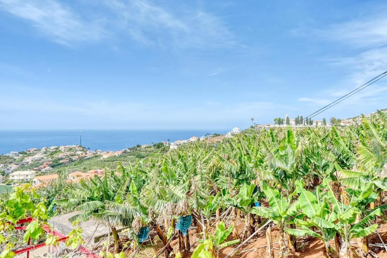 Casa De Ponte, A Home In Madeira Ponta do Sol  Πορτογαλία